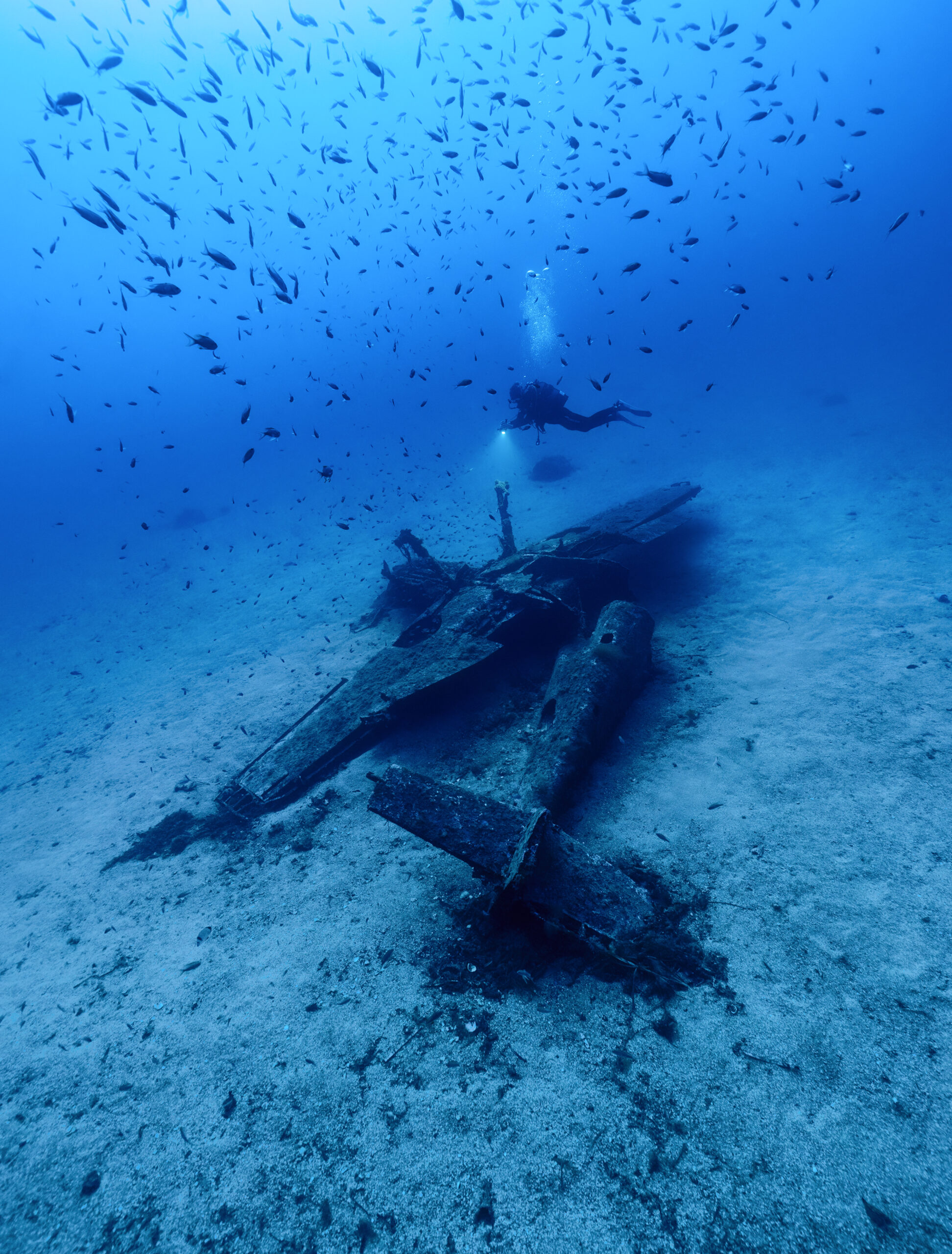 Formation à la plongée