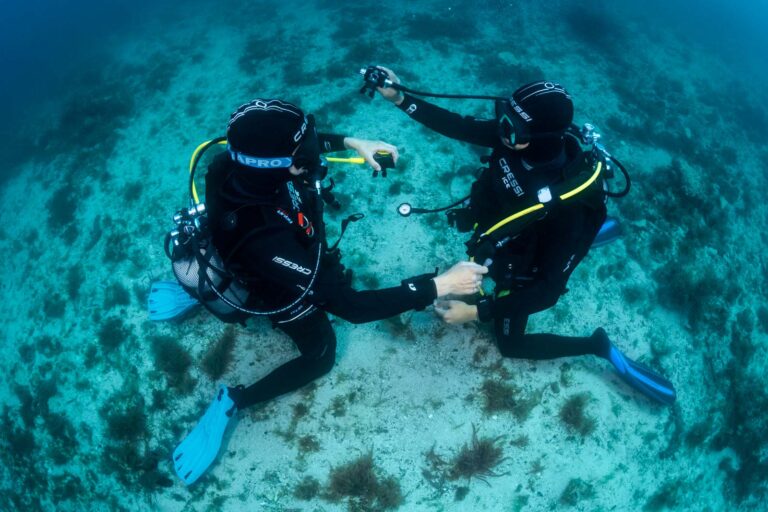 Plongeur en formation